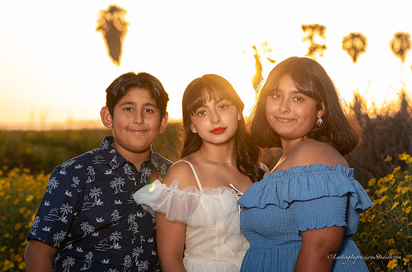 LIS-Alexia_Ayleen-5-2-2020-22