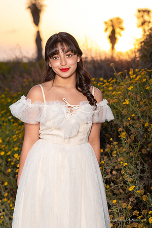 LIS-Alexia_Ayleen-5-2-2020-41
