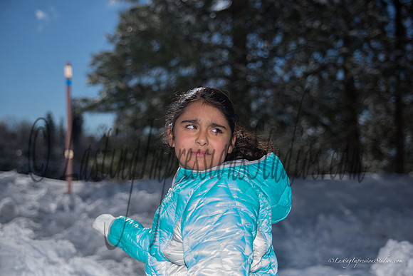 LIS_BigBear_JAN2016-16