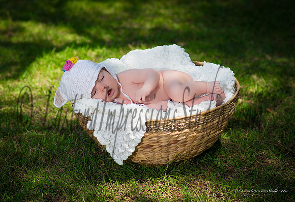 LIS_Catherine_Brehart-2