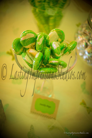 lastingimpressionsstudios.com-109