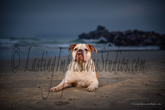 LIS_P_Smith_Family-116