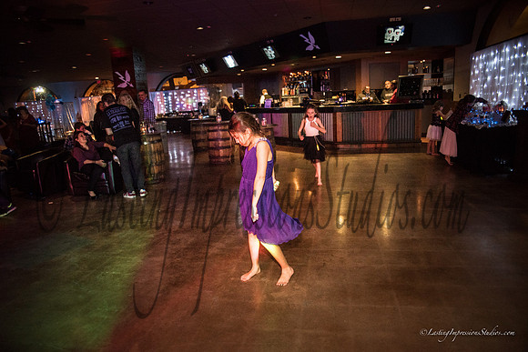 LIS_Emily_Williams_Sweet_16th_Party  -474