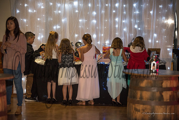 LIS_Emily_Williams_Sweet_16th_Party  -220
