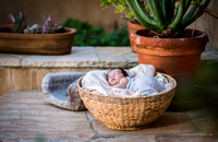 LIS_K_Glaser_Family-143