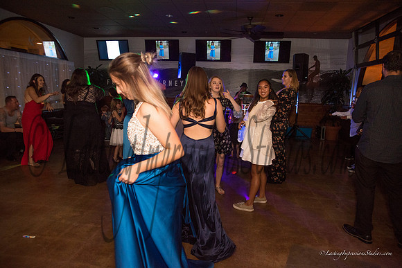 LIS_Emily_Williams_Sweet_16th_Party  -379