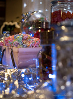 LIS_Emily_Williams_Sweet_16th_Party  -5