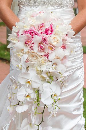 alohabugphotography-41