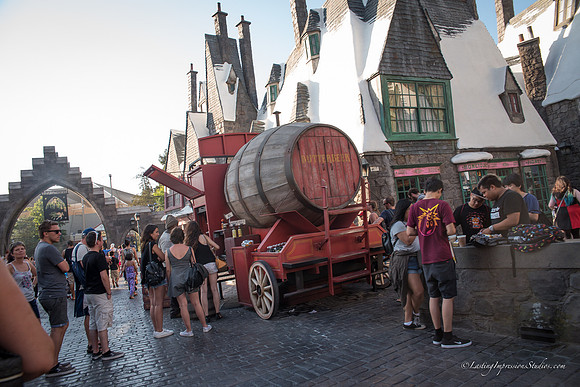 LIS_Universal_Studios_8-2016-359