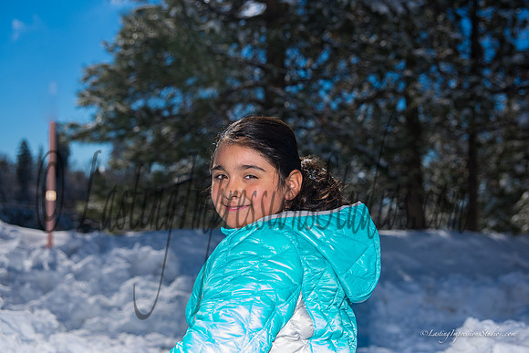 LIS_BigBear_JAN2016-15