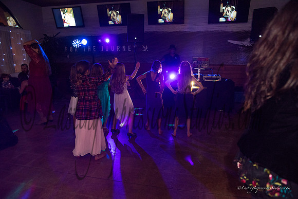 LIS_Emily_Williams_Sweet_16th_Party  -383