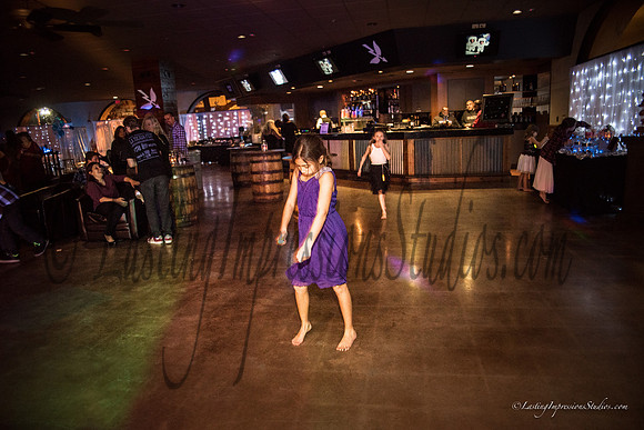 LIS_Emily_Williams_Sweet_16th_Party  -473