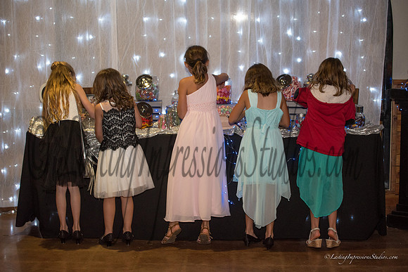 LIS_Emily_Williams_Sweet_16th_Party  -221