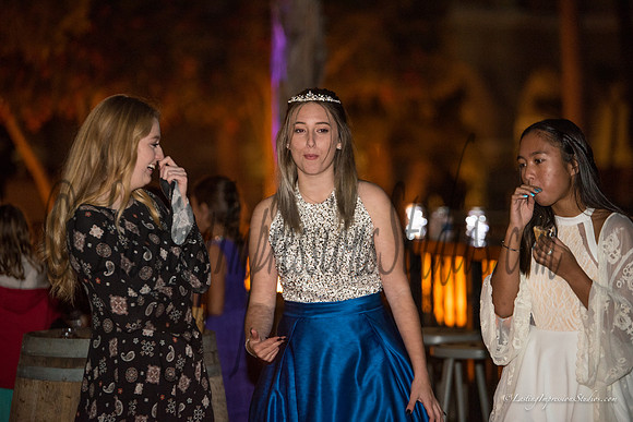 LIS_Emily_Williams_Sweet_16th_Party  -242
