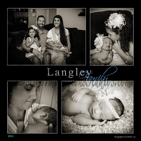 Langley1