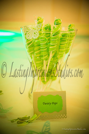 lastingimpressionsstudios.com-114