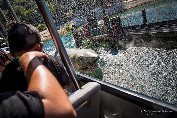 LIS_Universal_Studios_8-2016-283