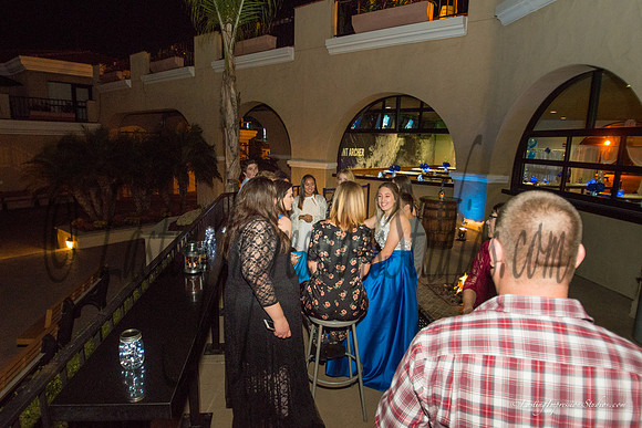 LIS_Emily_Williams_Sweet_16th_Party  -298
