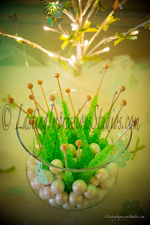 lastingimpressionsstudios.com-110