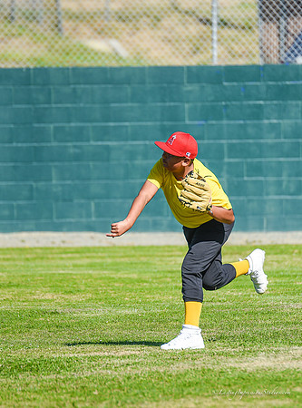 LIS-Killer_Bees_ Practice_2-20-15