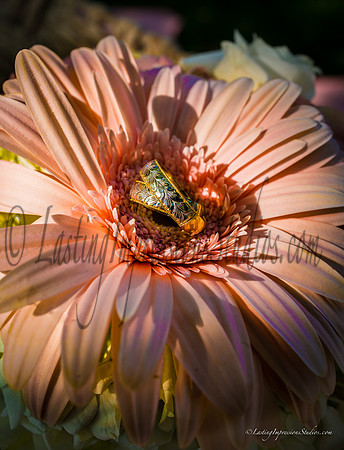 LISP_Maia_Sean_Wedding-153