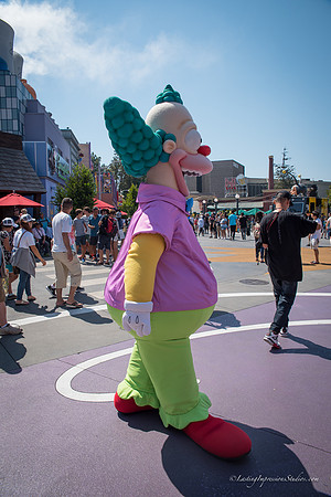 LIS_Universal_Studios_8-2016-195