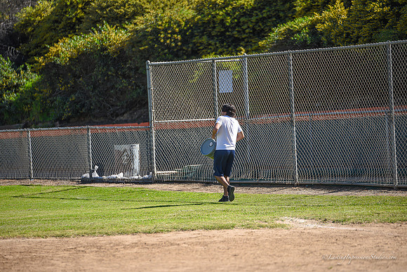 LIS-Killer_Bees_ Practice_2-20-2