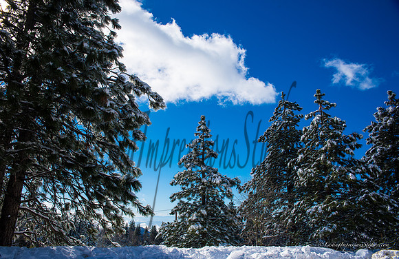 LIS_BigBear_JAN2016-2