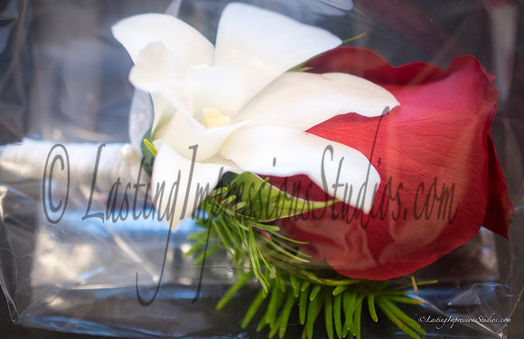 LIS_Miriam_Sam_Byron_Wedding-1