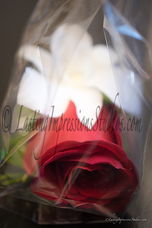 LIS_Miriam_Sam_Byron_Wedding-2
