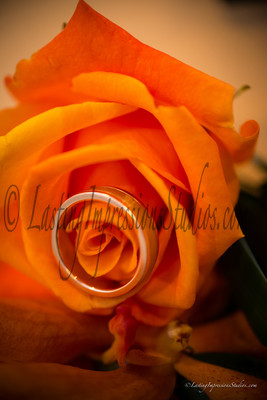 lastingimpressionsstudios.com-11