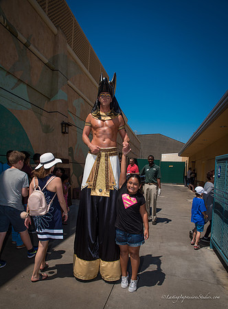 LIS_Universal_Studios_8-2016-132