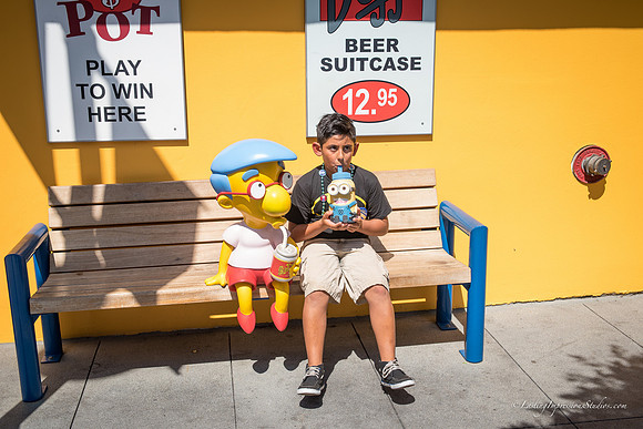 LIS_Universal_Studios_8-2016-204