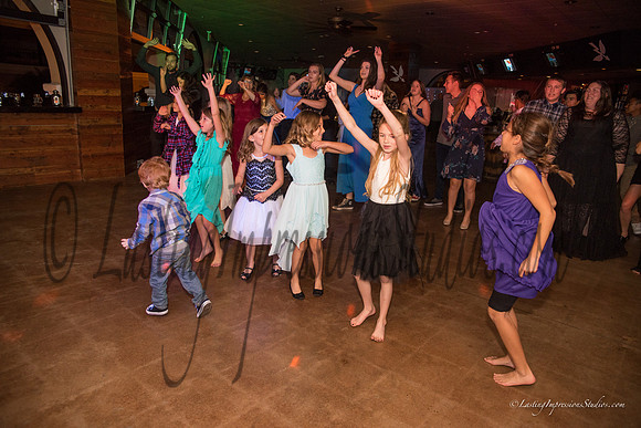LIS_Emily_Williams_Sweet_16th_Party  -357