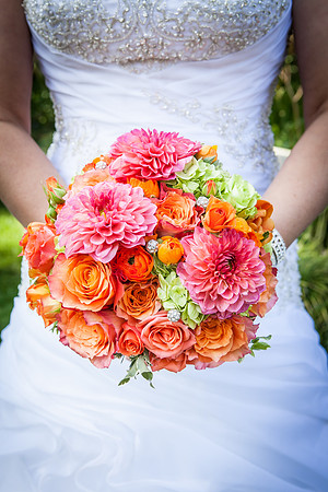 alohabugphotography-60