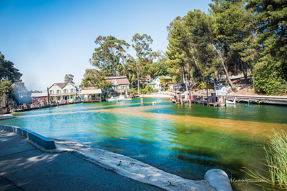 LIS_Universal_Studios_8-2016-288