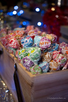 LIS_Emily_Williams_Sweet_16th_Party  -4