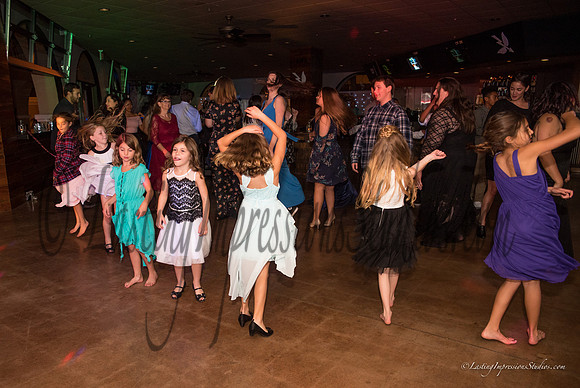 LIS_Emily_Williams_Sweet_16th_Party  -361