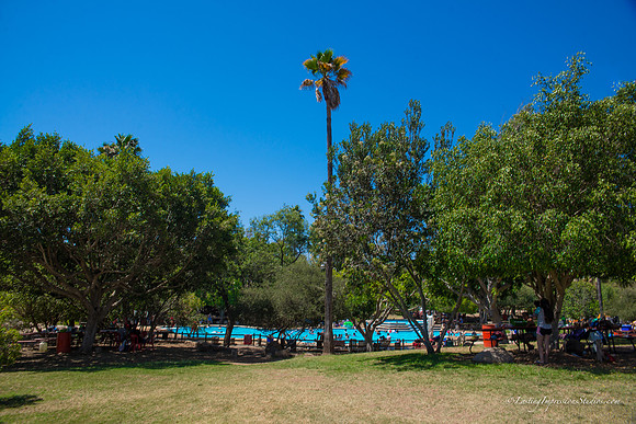 LIS_Camping_Trip_Las_Canadas -1