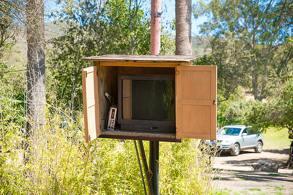 LIS_Camping_Trip_Las_Canadas -7