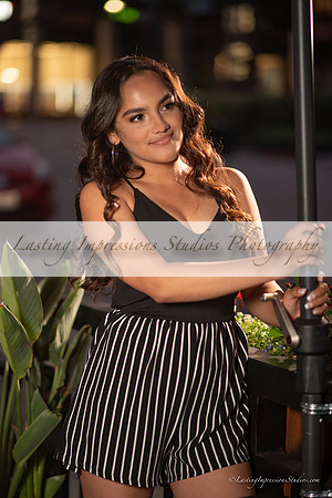 LIS-Quince_Alexis_Mendoza_Port2-59