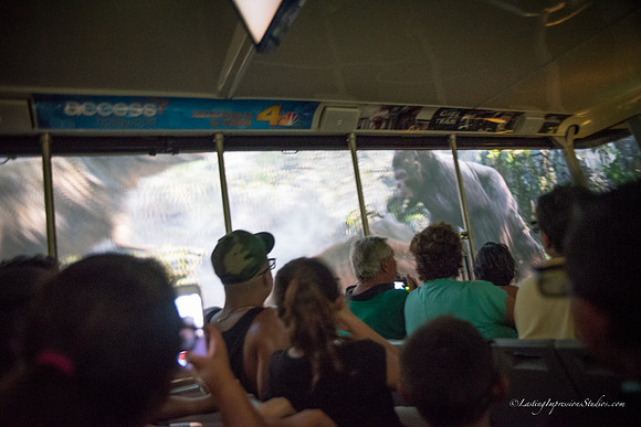 LIS_Universal_Studios_8-2016-222