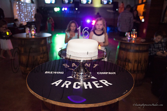 LIS_Emily_Williams_Sweet_16th_Party  -482