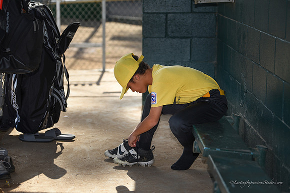 LIS-Killer_Bees_ Practice_2-20-1