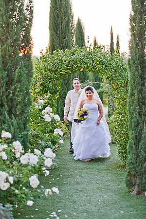 alohabugphotography-55