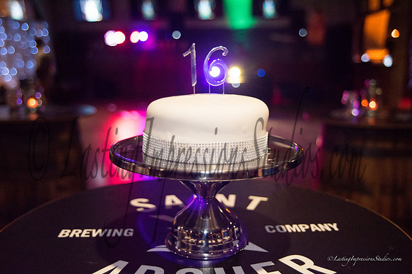 LIS_Emily_Williams_Sweet_16th_Party  -483