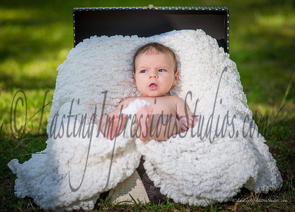LIS_Catherine_Brehart-20