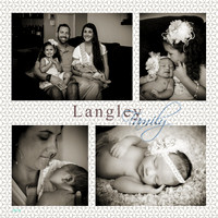 Langley3