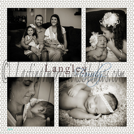 Langley3