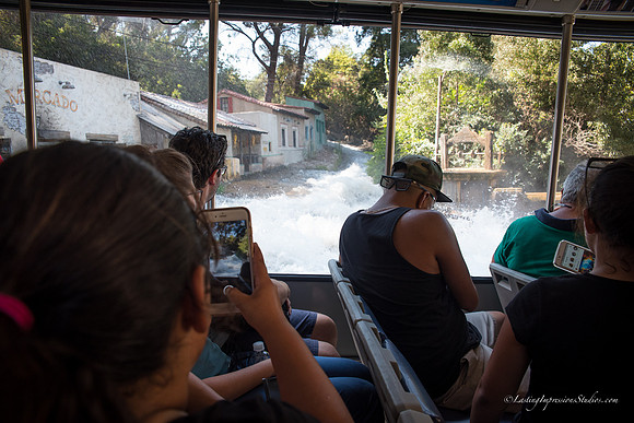 LIS_Universal_Studios_8-2016-247